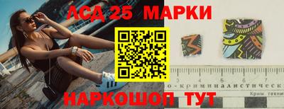 спиды Обь